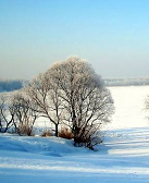 李達偉:歸于沉寂
