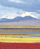 張旻:碑后面的青海(外一篇)